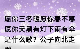 愿你三冬暖愿你春不寒愿你天黑有燈下雨有傘是什么歌?公子向北走歌詞