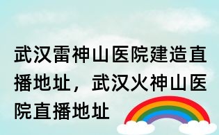 武漢雷神山醫院建造直播地址,武漢火神山醫院直播地址