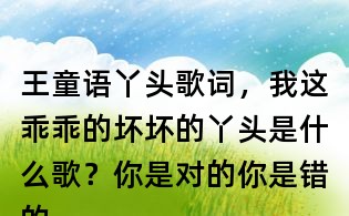 王童語丫頭歌詞，我這乖乖的壞壞的丫頭是什么歌？你是對的你是錯的 反正規(guī)矩都是你定的什么歌？