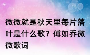 微微就是秋天里每片落葉是什么歌?傅如喬微微歌詞
