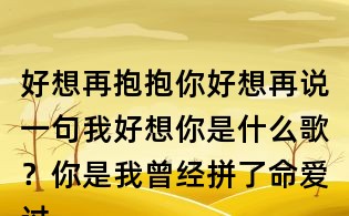 好想再抱抱你好想再說一句我好想你是什么歌?你是我曾經(jīng)拼了命愛過的人歌詞