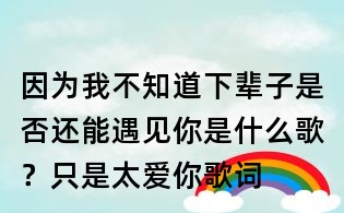 因為我不知道下輩子是否還能遇見你是什么歌？只是太愛你歌詞