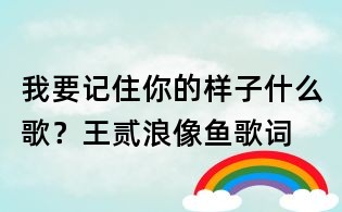 我要記住你的樣子什么歌？王貳浪像魚歌詞