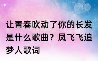 讓青春吹動了你的長發(fā)是什么歌曲？鳳飛飛追夢人歌詞