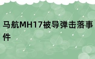 馬航MH17被導彈擊落事件