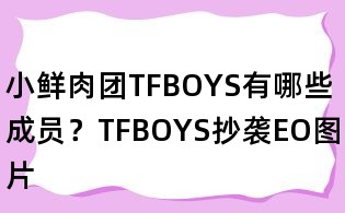 小鮮肉團TFBOYS有哪些成員？TFBOYS抄襲EO圖片