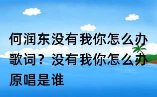 何潤東沒有我你怎么辦歌詞？沒有我你怎么辦原唱是誰