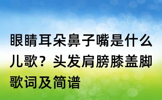 眼睛耳朵鼻子嘴是什么兒歌？頭發肩膀膝蓋腳歌詞及簡譜