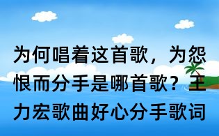 為何唱著這首歌，為怨恨而分手是哪首歌？王力宏歌曲好心分手歌詞