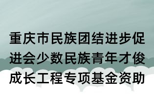 重慶市民族團結(jié)進步促進會少數(shù)民族青年才俊成長工程專項基金資助申請表