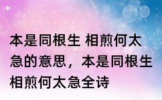 本是同根生 相煎何太急的意思，本是同根生相煎何太急全詩