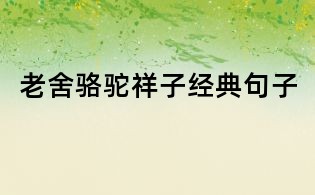 老舍駱駝祥子經(jīng)典句子