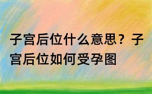 子宮后位什么意思？子宮后位如何受孕圖