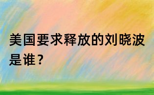 美國要求釋放的劉曉波是誰？