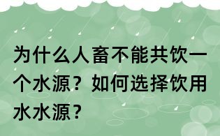 為什么人畜不能共飲一個水源？如何選擇飲用水水源？