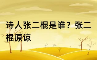 詩(shī)人張二棍是誰(shuí)?張二棍原諒