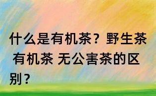 什么是有機茶？野生茶 有機茶 無公害茶的區別？