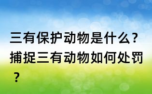 三有保護動物是什么？捕捉三有動物如何處罰 ？