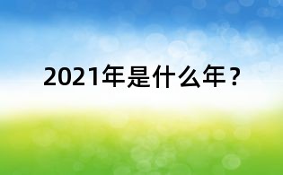 2021年是什么年？
