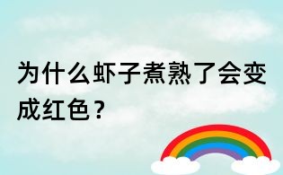 為什么蝦子煮熟了會變成紅色？