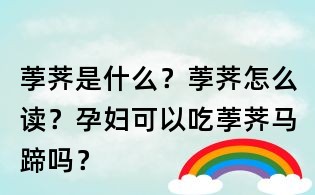 荸薺是什么？荸薺怎么讀？孕婦可以吃荸薺馬蹄嗎？