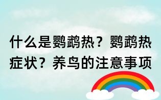 什么是鸚鵡熱？鸚鵡熱癥狀？養鳥的注意事項