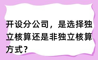 開設(shè)分公司,是選擇獨(dú)立核算還是非獨(dú)立核算方式?