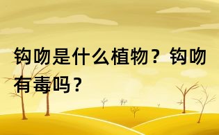 鉤吻是什么植物？鉤吻有毒嗎？