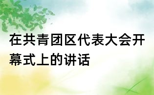 在共青團區代表大會開幕式上的講話