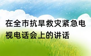 在全市抗旱救災緊急電視電話會上的講話