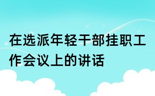 在選派年輕干部掛職工作會議上的講話