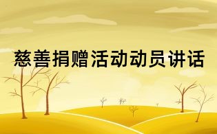 慈善捐贈活動動員講話