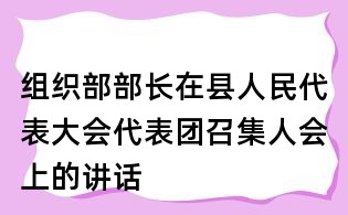 組織部部長在縣人民代表大會代表團召集人會上的講話