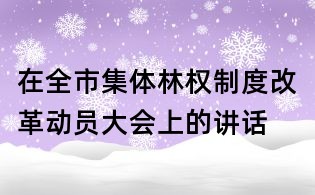 在全市集體林權(quán)制度改革動員大會上的講話