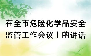 在全市危險化學品安全監管工作會議上的講話