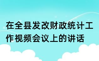 在全縣發(fā)改財政統(tǒng)計工作視頻會議上的講話