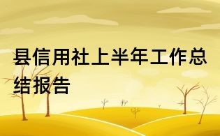 縣信用社上半年工作總結(jié)報告