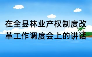 在全縣林業(yè)產(chǎn)權(quán)制度改革工作調(diào)度會上的講話