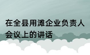 在全縣用灘企業(yè)負責(zé)人會議上的講話
