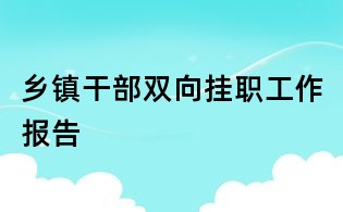 鄉(xiāng)鎮(zhèn)干部雙向掛職工作報(bào)告