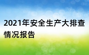 2021年安全生產(chǎn)大排查情況報告