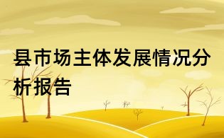 縣市場主體發(fā)展情況分析報告