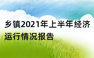 鄉鎮2021年上半年經濟運行情況報告