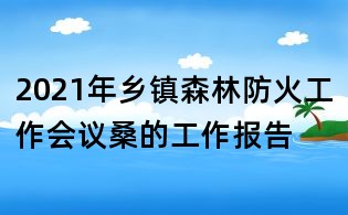 2021年鄉鎮森林防火工作會議桑的工作報告