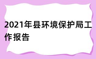 2021年縣環境保護局工作報告