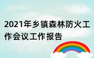 2021年鄉(xiāng)鎮(zhèn)森林防火工作會議工作報告