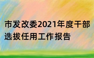 市發改委2021年度干部選拔任用工作報告