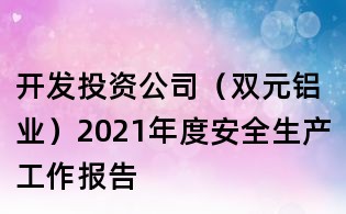 開發投資公司（雙元鋁業）2021年度安全生產工作報告