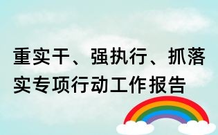 重實干、強執行、抓落實專項行動工作報告