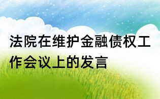 法院在維護金融債權工作會議上的發言